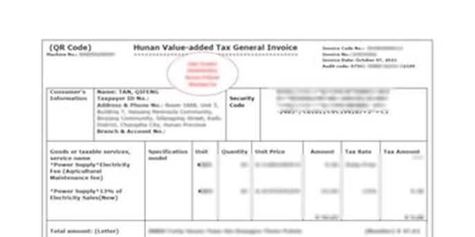 Financial Statements & Bank Transaction Translation